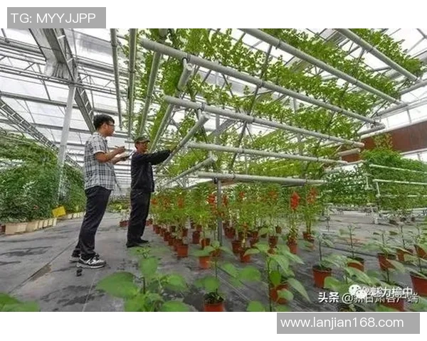 临沂健身器材回收服务全面升级让闲置器材焕发新生机