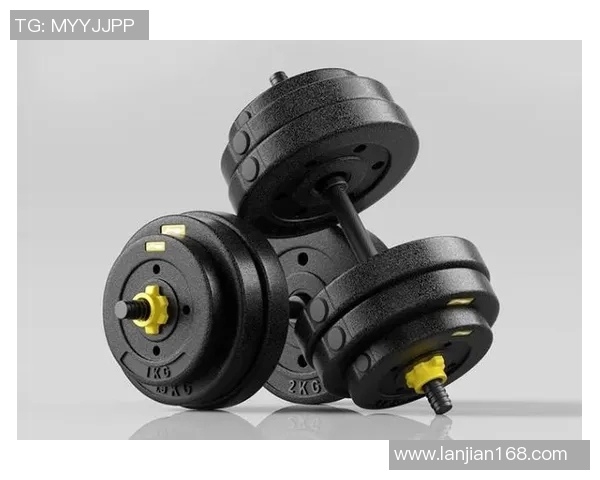 健身器材哑铃价格分析及选购指南助你找到性价比最高的产品